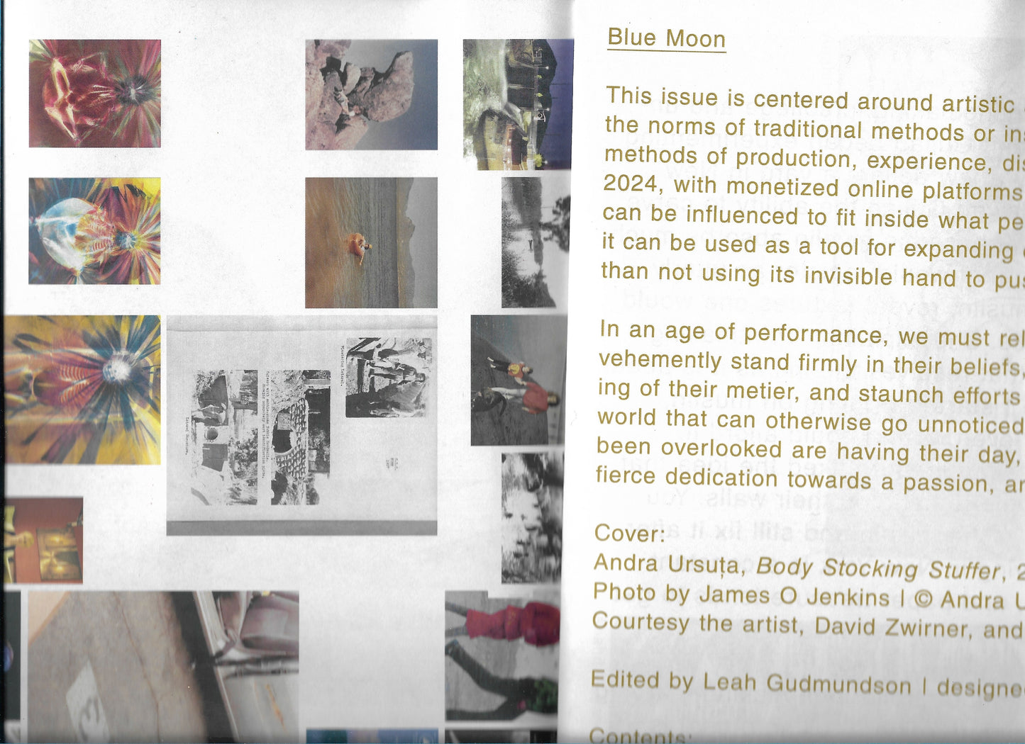 BLUE MOON 8