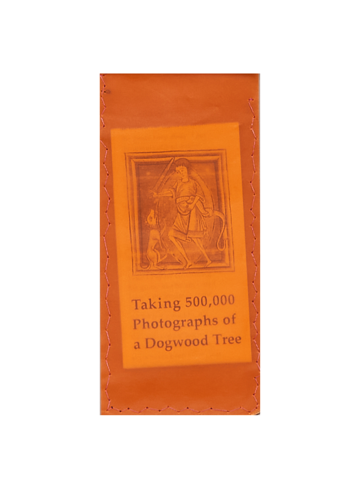 TAKING 500,000 PHOTOGRAPHS OF A DOGWOOD TREE