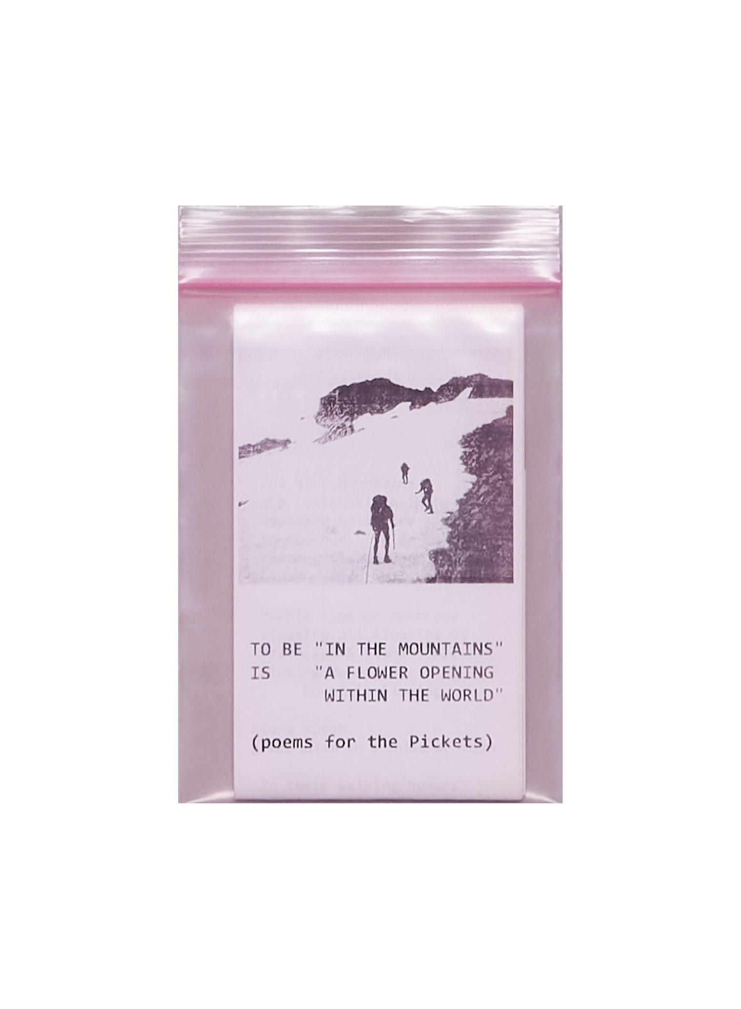 TO BE “IN THE MOUNTAINS” IS “A FLOWER OPENING WITHIN THE WORLD”