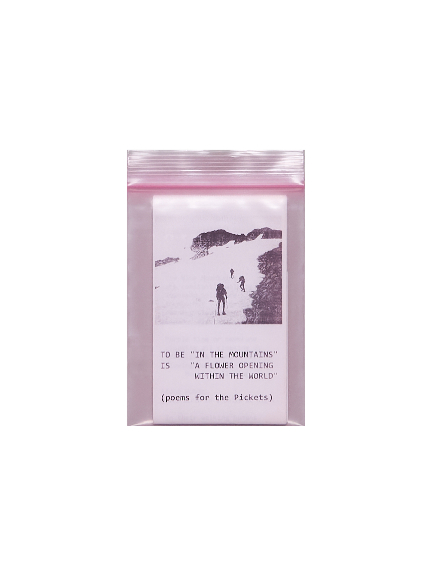 TO BE “IN THE MOUNTAINS” IS “A FLOWER OPENING WITHIN THE WORLD”