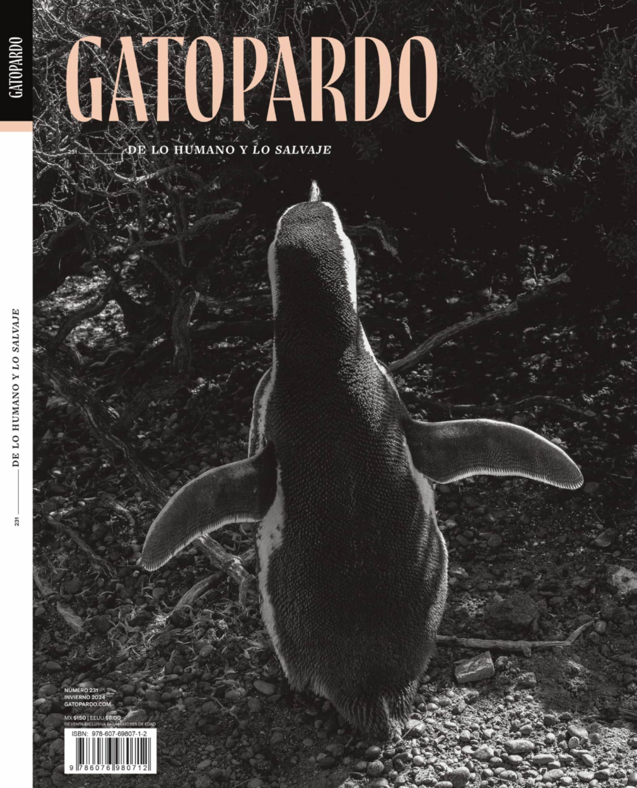 GATOPARDO INVIERNO 24