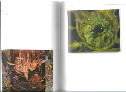 4N ISSUE NO. 1