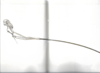 I'M ROOTED BUT I FLOW