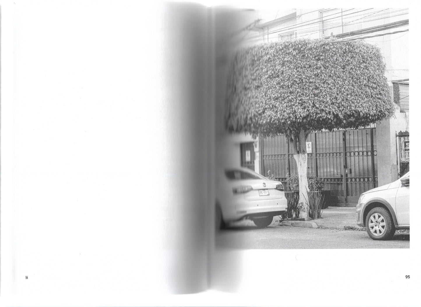 A GUIDE TO GARDENING