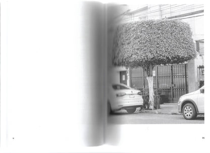 A GUIDE TO GARDENING