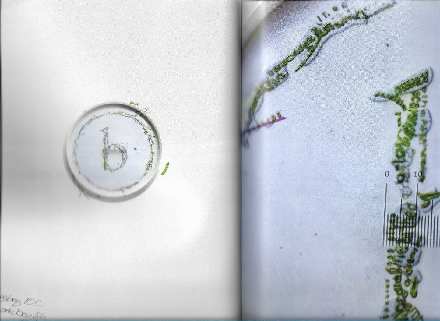 MODE AND MODE ISSUE 9