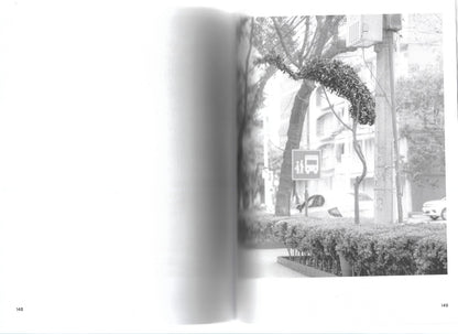 A GUIDE TO GARDENING