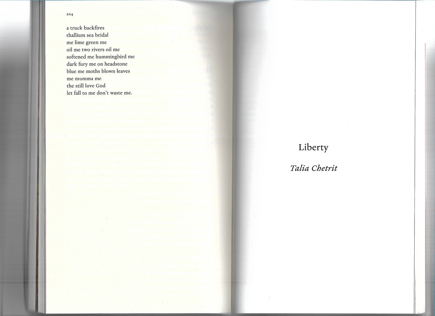 THE PARIS REVIEW NO. 253