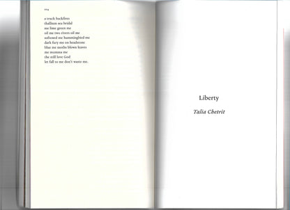 THE PARIS REVIEW NO. 253