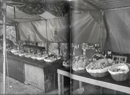 I'M ROOTED BUT I FLOW