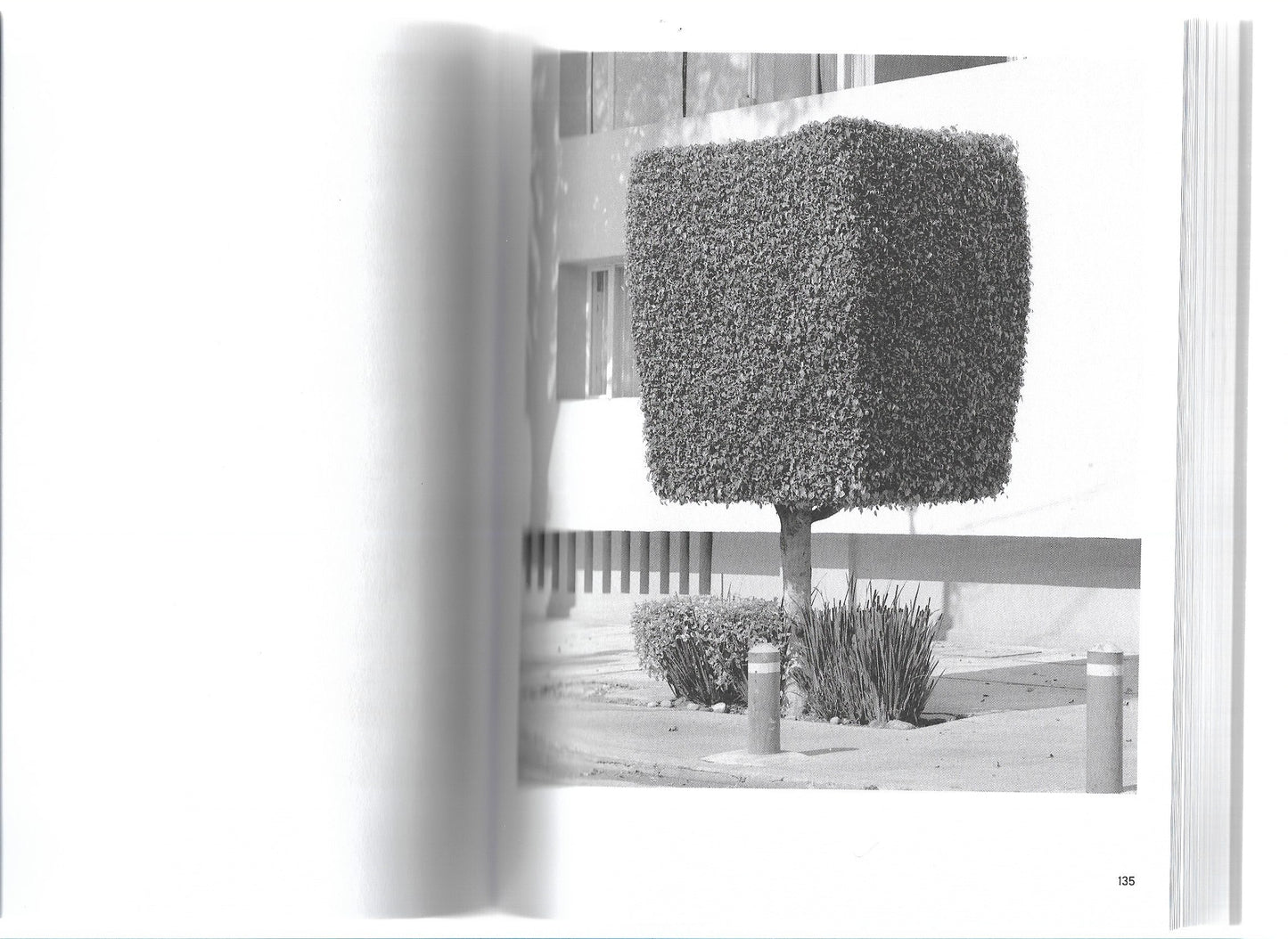 A GUIDE TO GARDENING