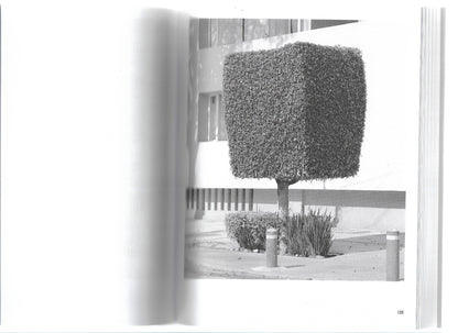 A GUIDE TO GARDENING