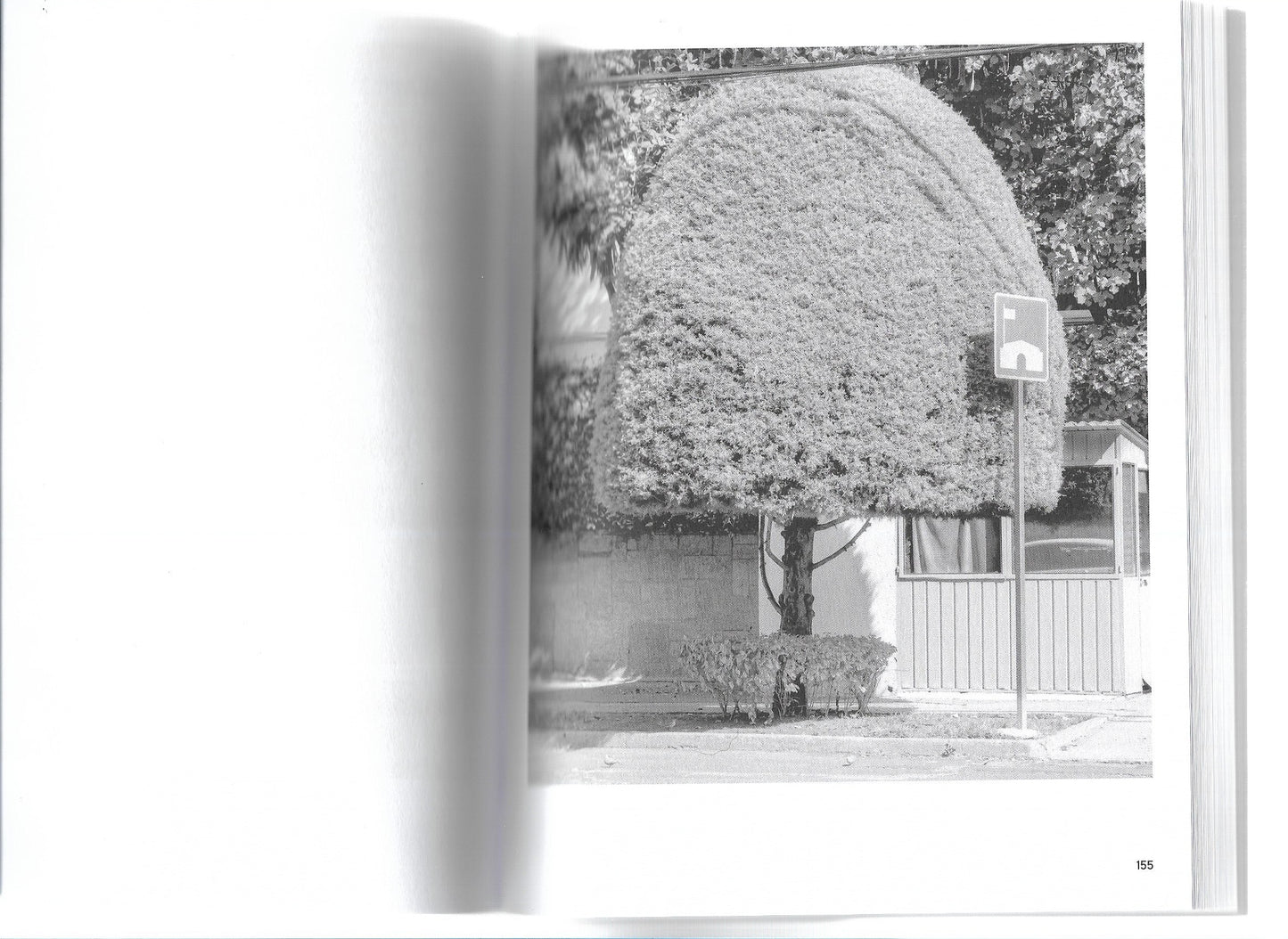 A GUIDE TO GARDENING