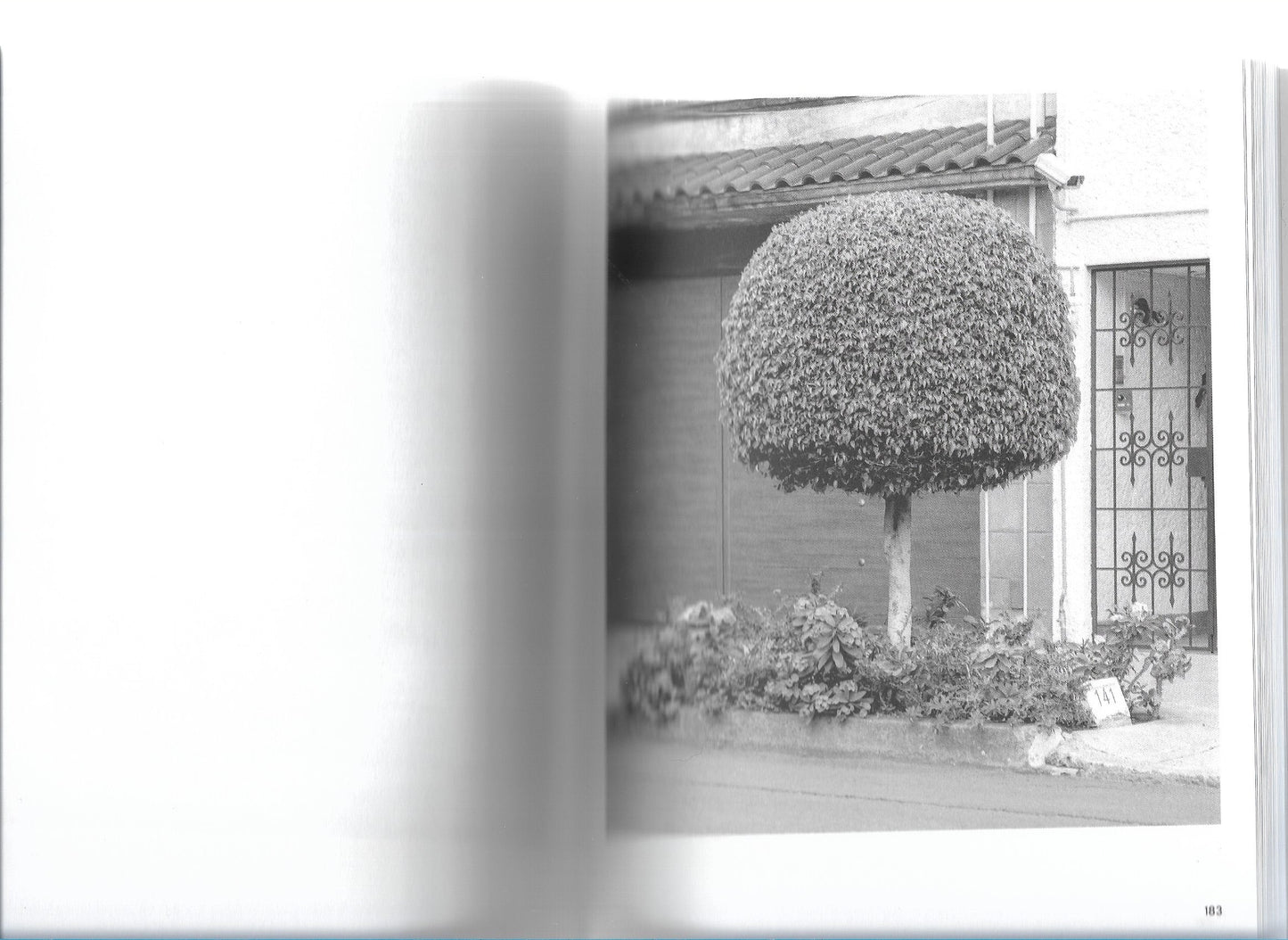 A GUIDE TO GARDENING