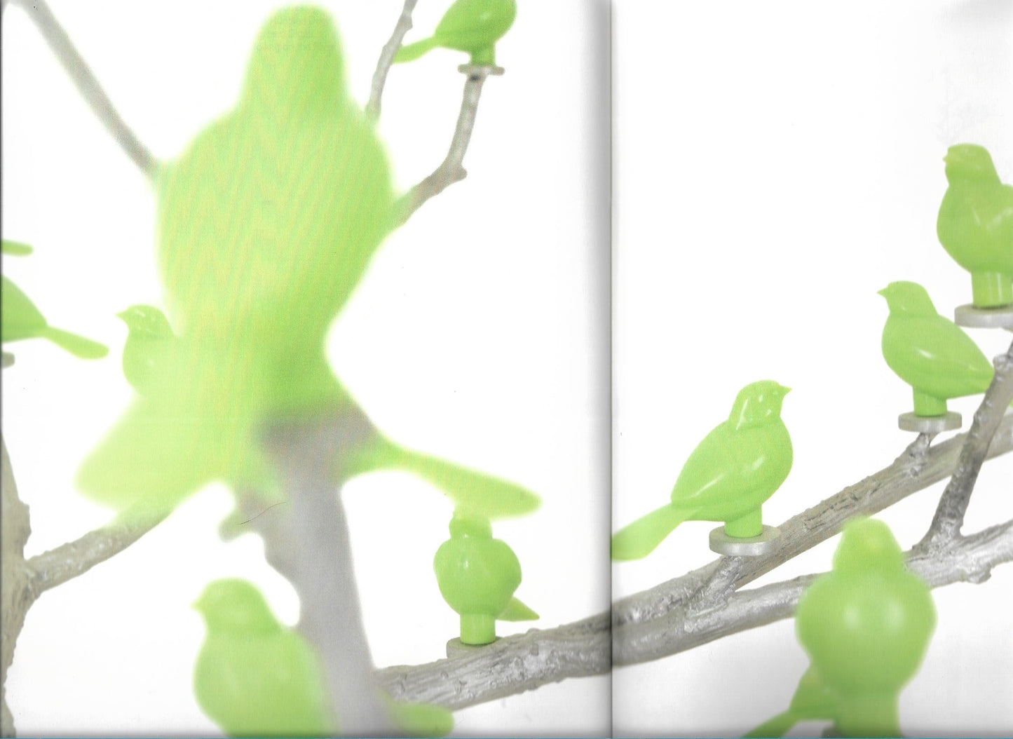 I'M ROOTED BUT I FLOW