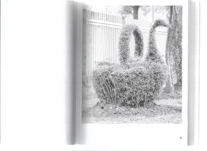 A GUIDE TO GARDENING