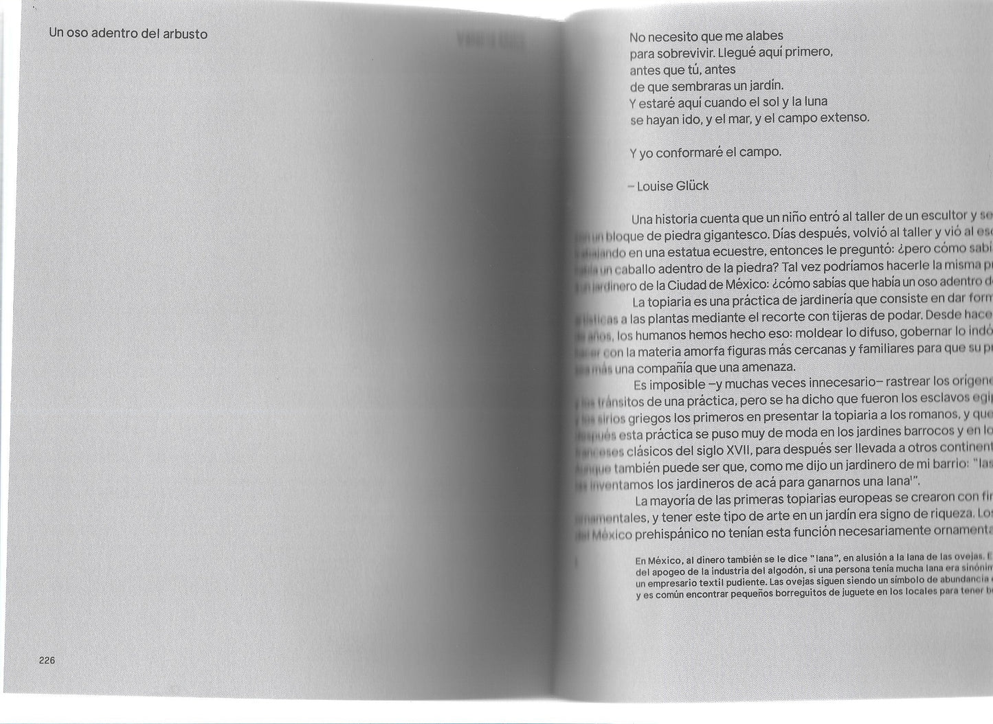 A GUIDE TO GARDENING