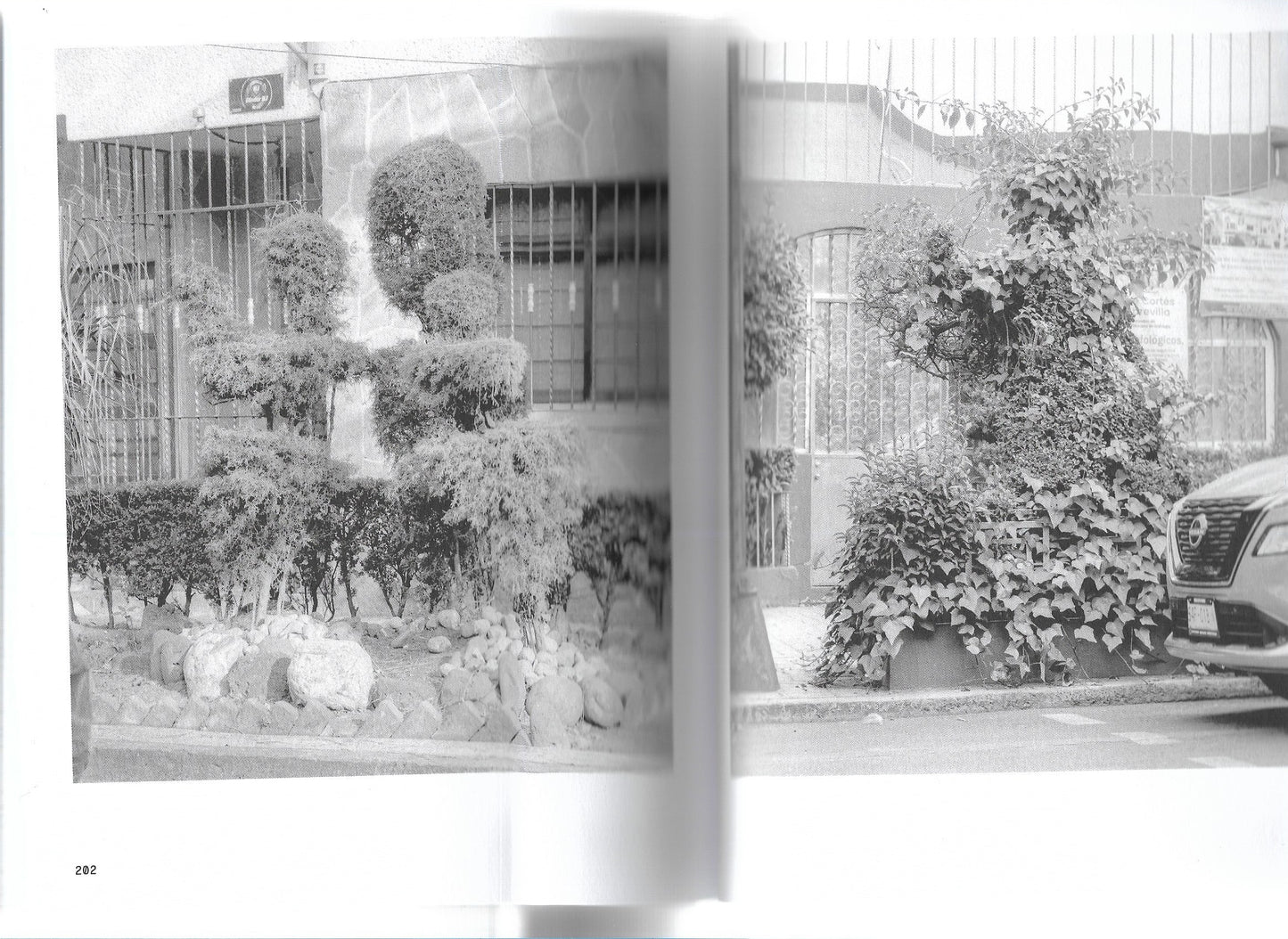 A GUIDE TO GARDENING