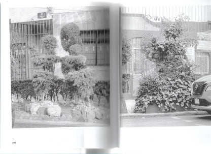 A GUIDE TO GARDENING