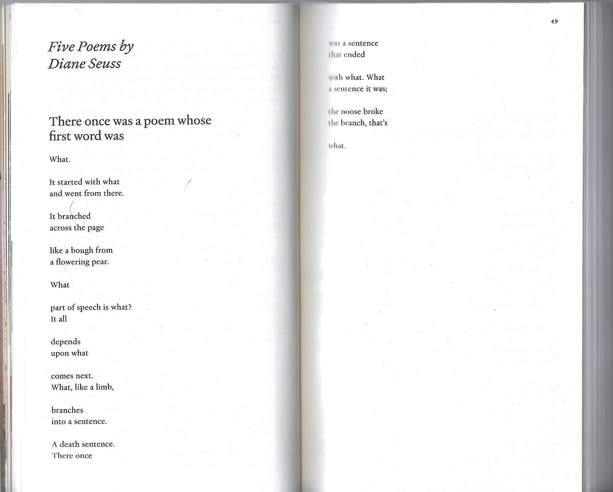 THE PARIS REVIEW NO. 257