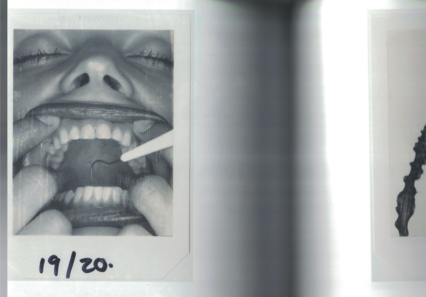 CARA 03