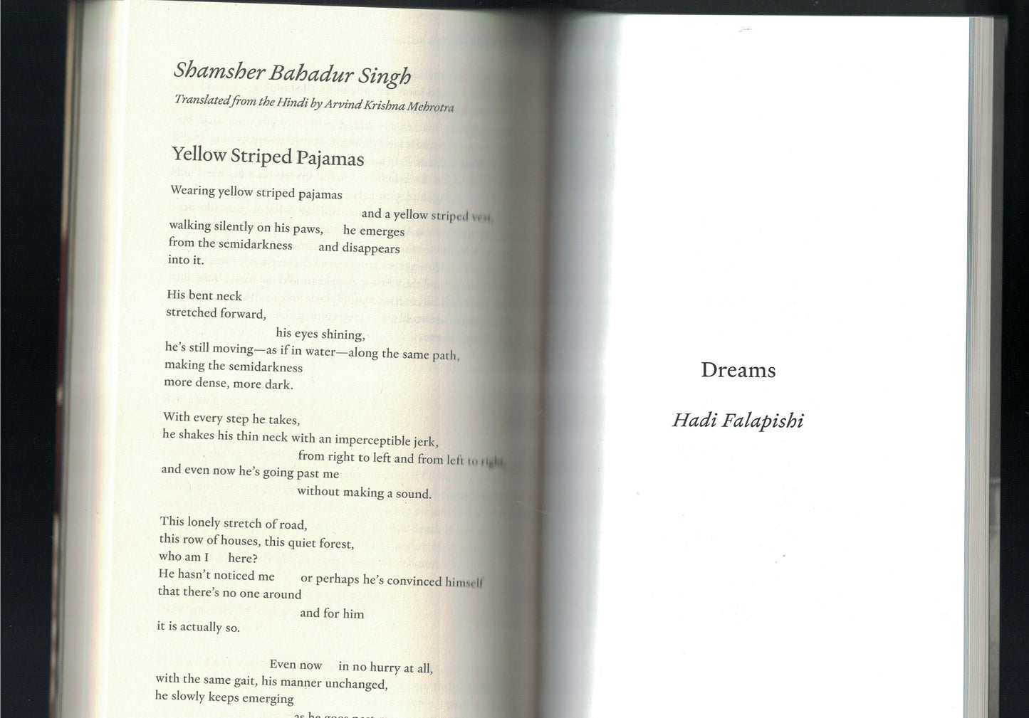 THE PARIS REVIEW NO. 256