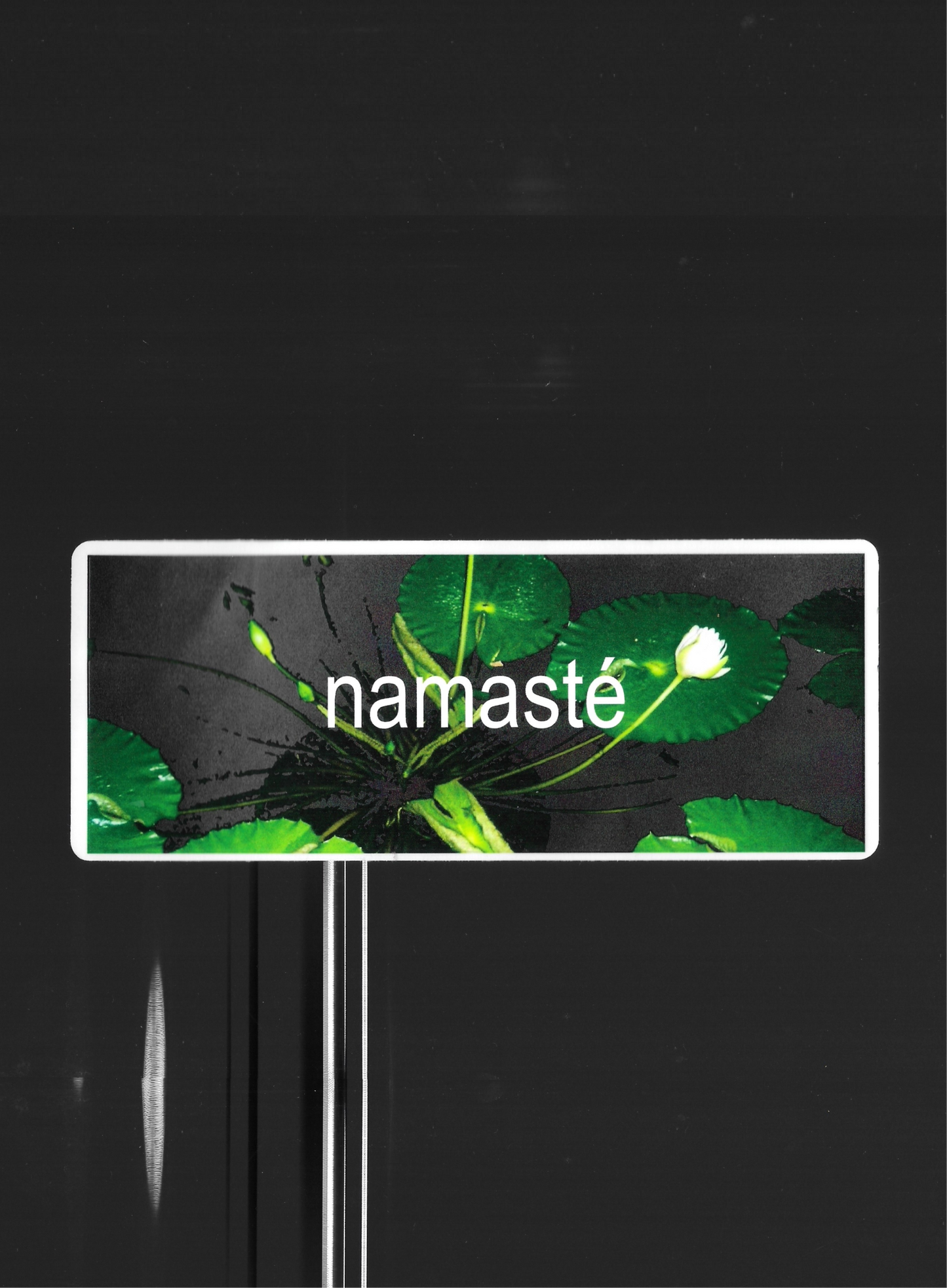 BUMPERSTICKER