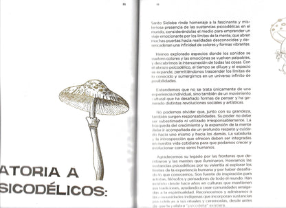 SANTO SICLOBE
