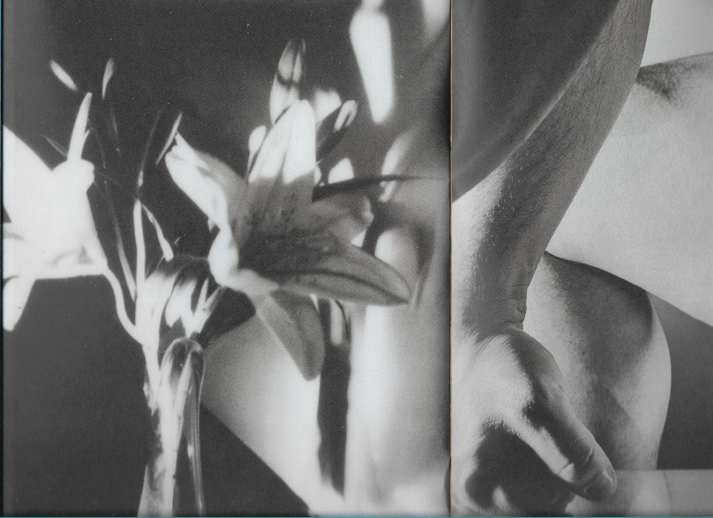 FLOWERS WILL BE TEMPORARY